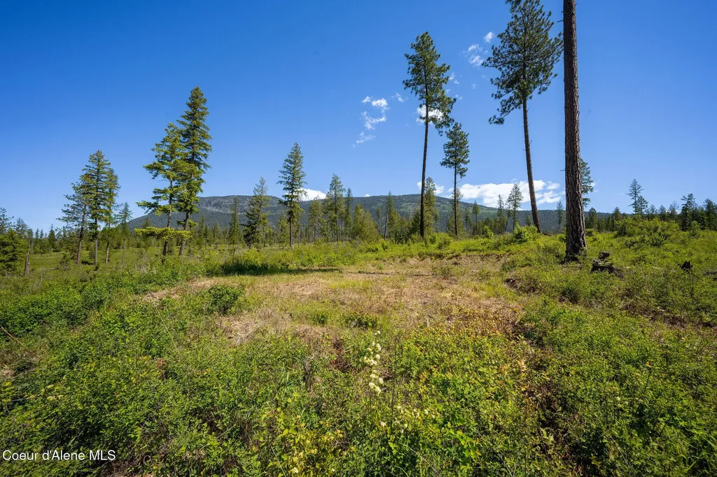 Nna This Way Bonners Ferry ID 83805