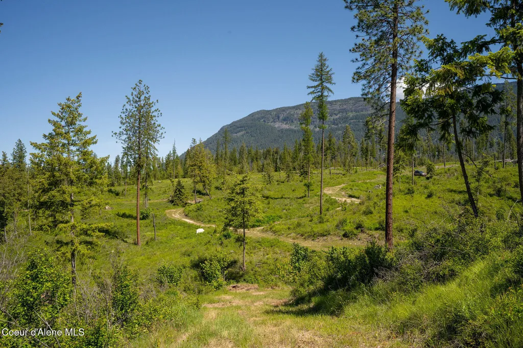 Nna This Way Road Lot 3 (20 Acres) Bonners Ferry ID 83805