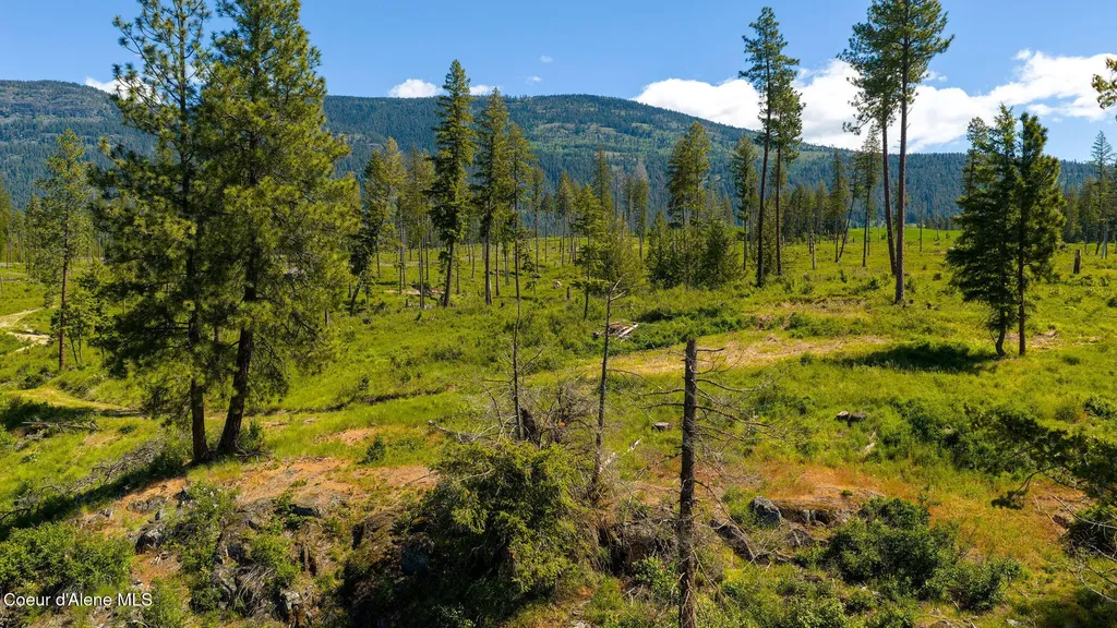 Nna This Way Bonners Ferry ID 83805