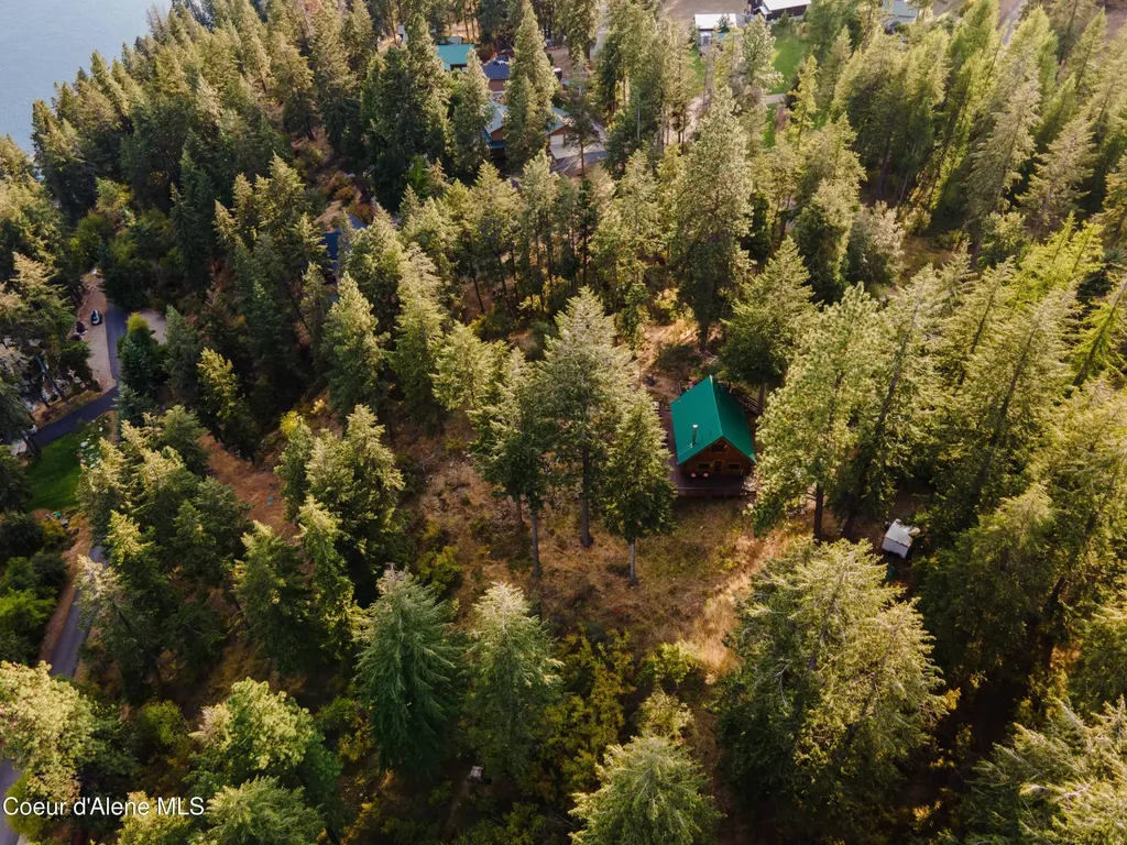 524 Glacier Loop Bayview ID 83803
