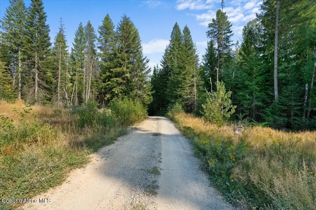 Nna Beaver Pond Trail Priest River ID 83856