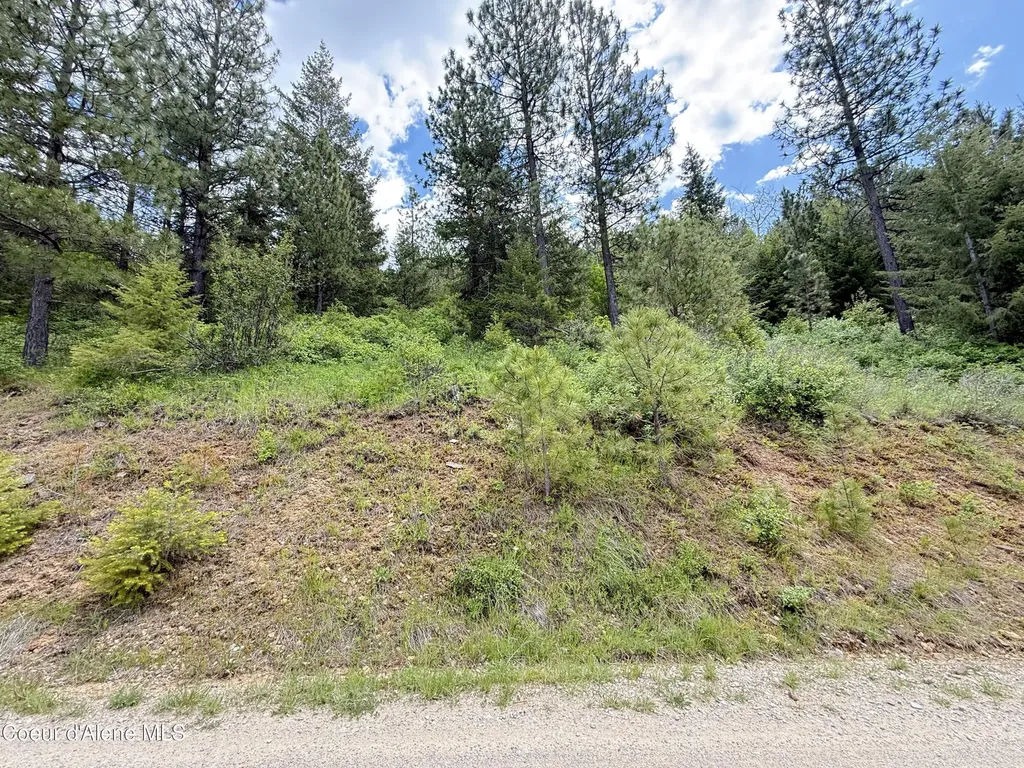 Nka S Mystery Trail Post Falls ID 83854