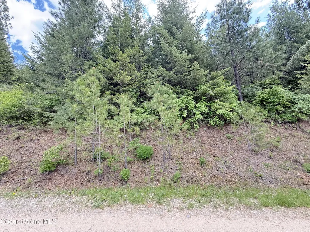 Nka S Mystery Trail Post Falls ID 83854