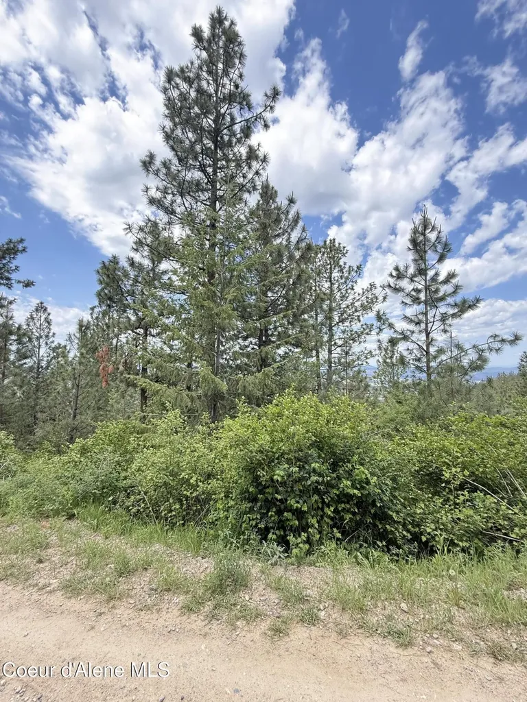 Nka S Mystery Trail Post Falls ID 83854