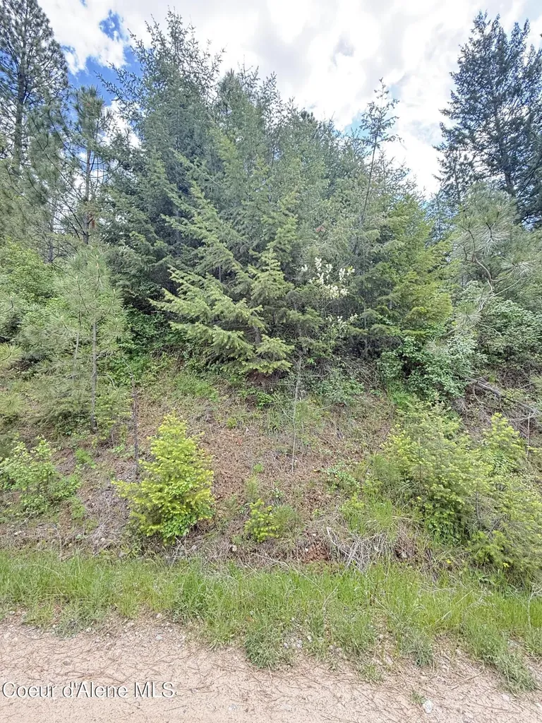Nka S Mystery Trail Post Falls ID 83854