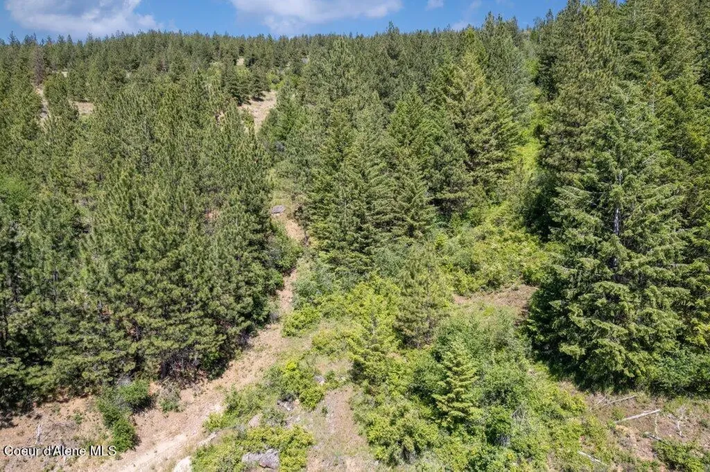 Nka S Mystery Trail Post Falls ID 83854