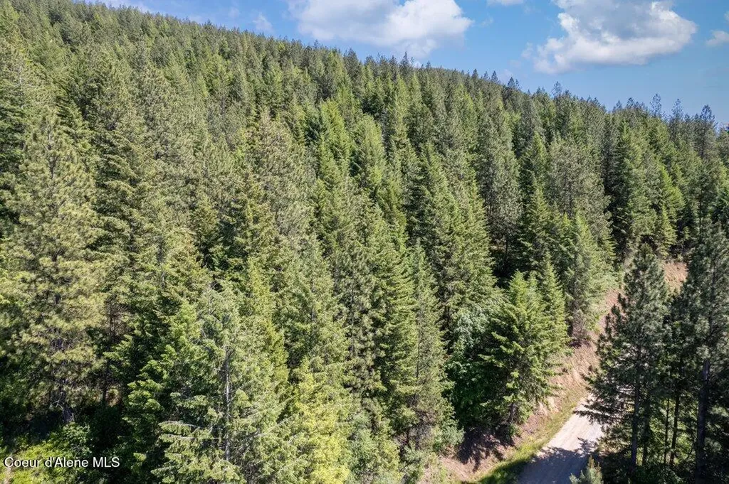 Nka S Mystery Trail Post Falls ID 83854