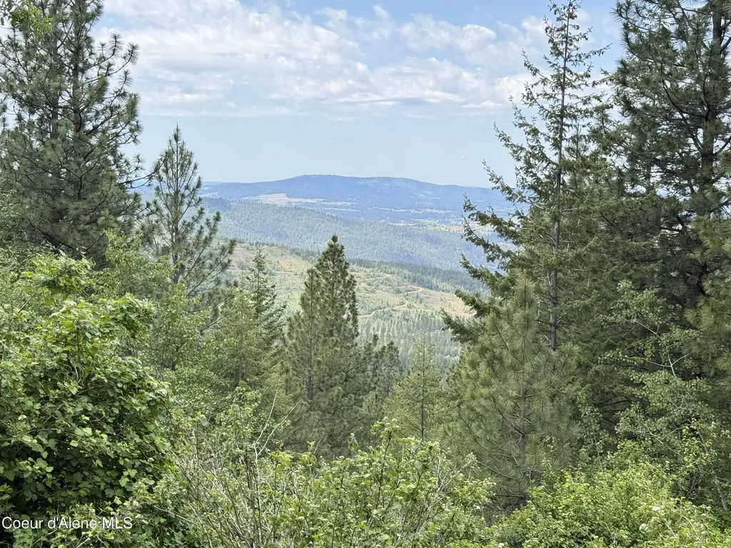 Nka S Mystery Trail Post Falls ID 83854