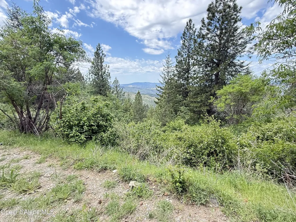 Nka S Mystery Trail Post Falls ID 83854
