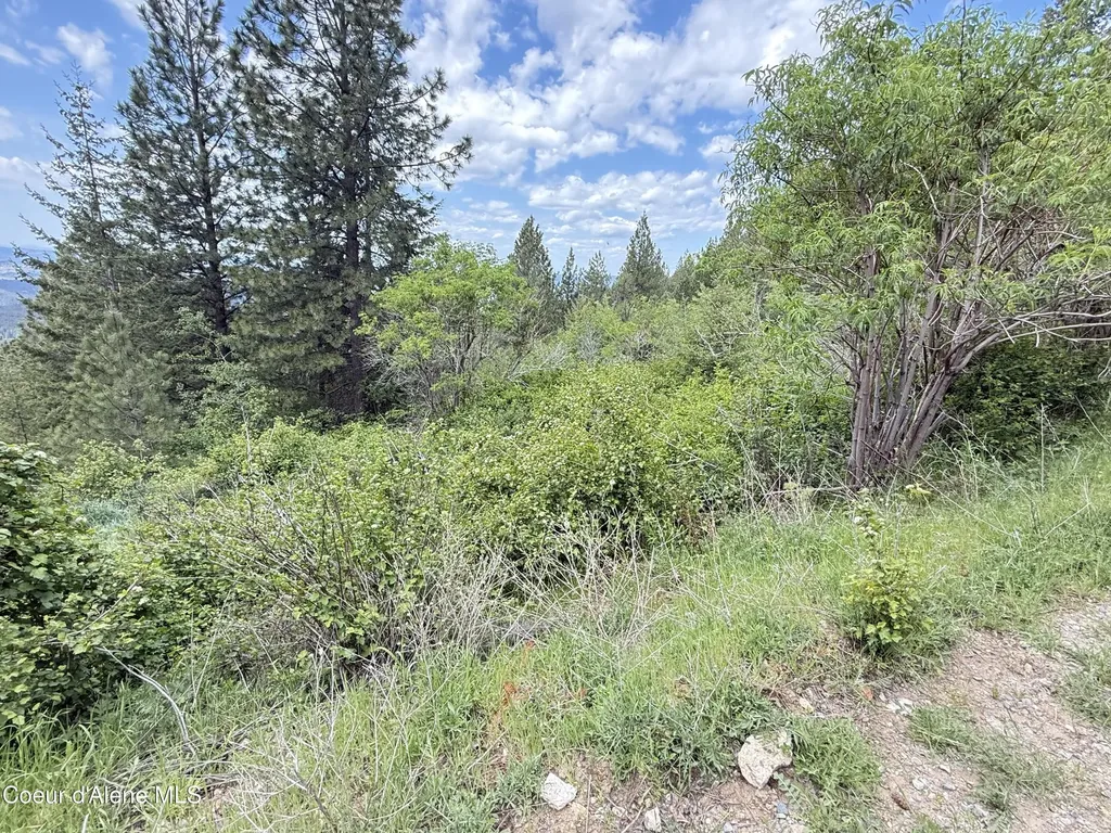 Nka S Mystery Trail Post Falls ID 83854