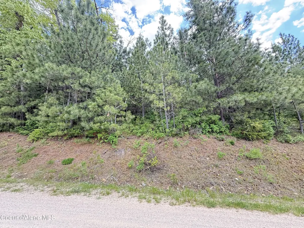 Nka S Mystery Trail Post Falls ID 83854