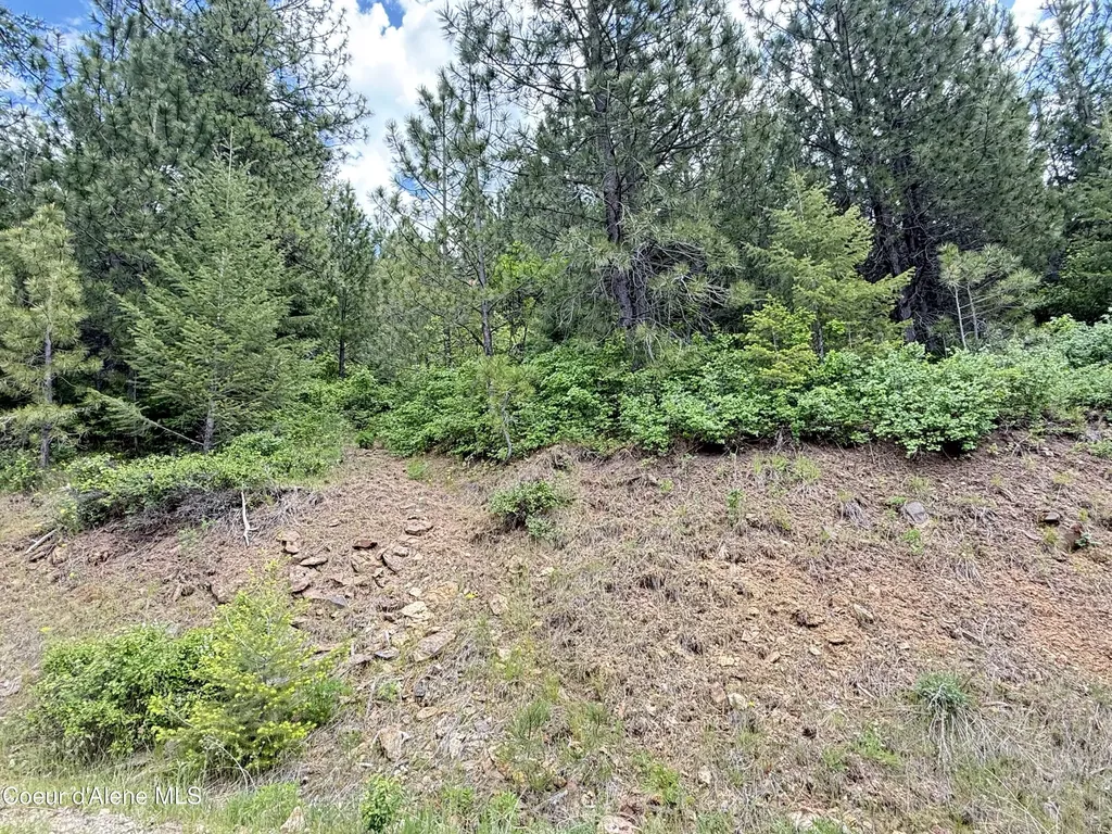 Nka S Mystery Trail Post Falls ID 83854
