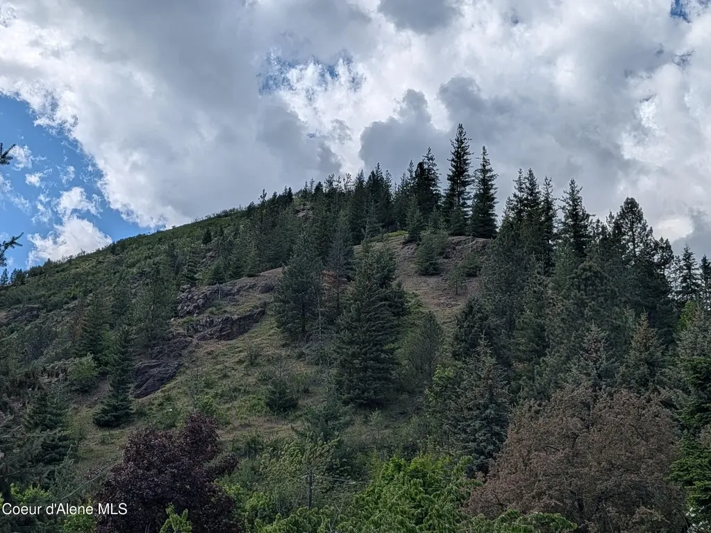 54 Elk Creek Road Kellogg ID 83837