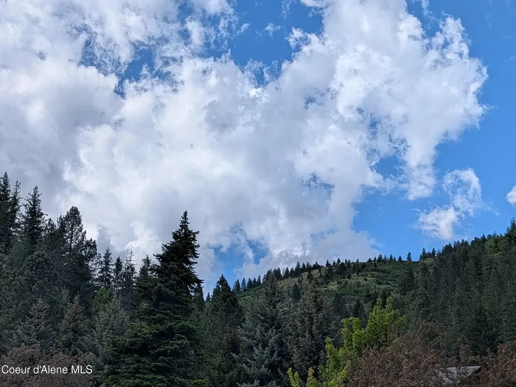 54 Elk Creek Road Kellogg ID 83837