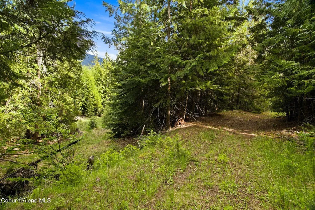 10435 Highway 1 Bonners Ferry ID 83805