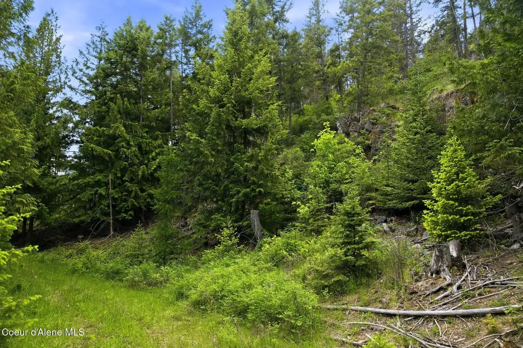 10435 Highway 1 Bonners Ferry ID 83805