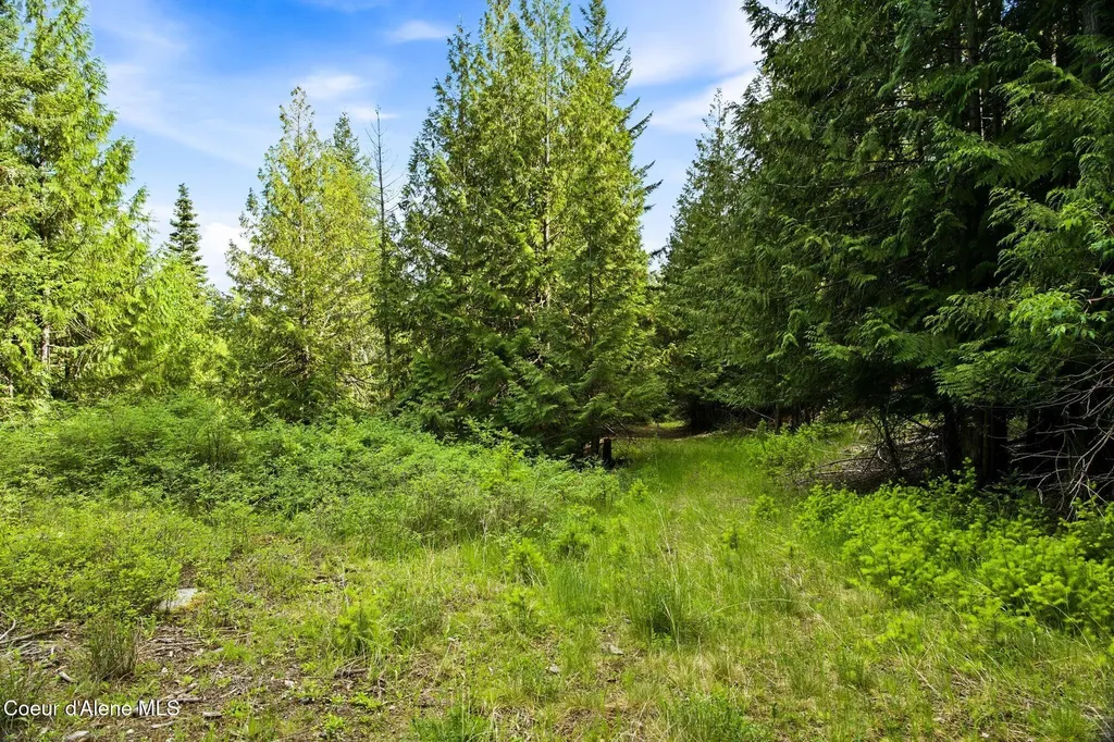 10435 Highway 1 Bonners Ferry ID 83805