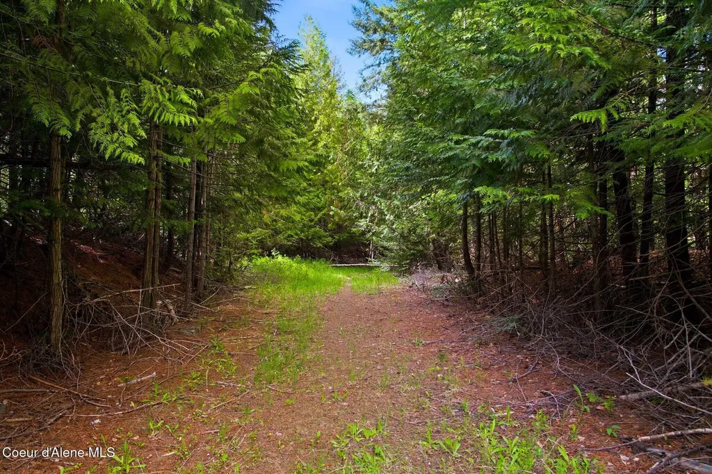 10435 Highway 1 Bonners Ferry ID 83805