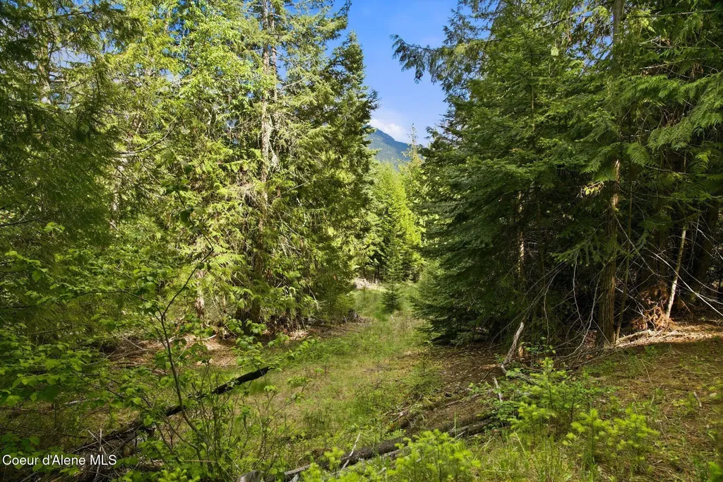 10435 Highway 1 Bonners Ferry ID 83805