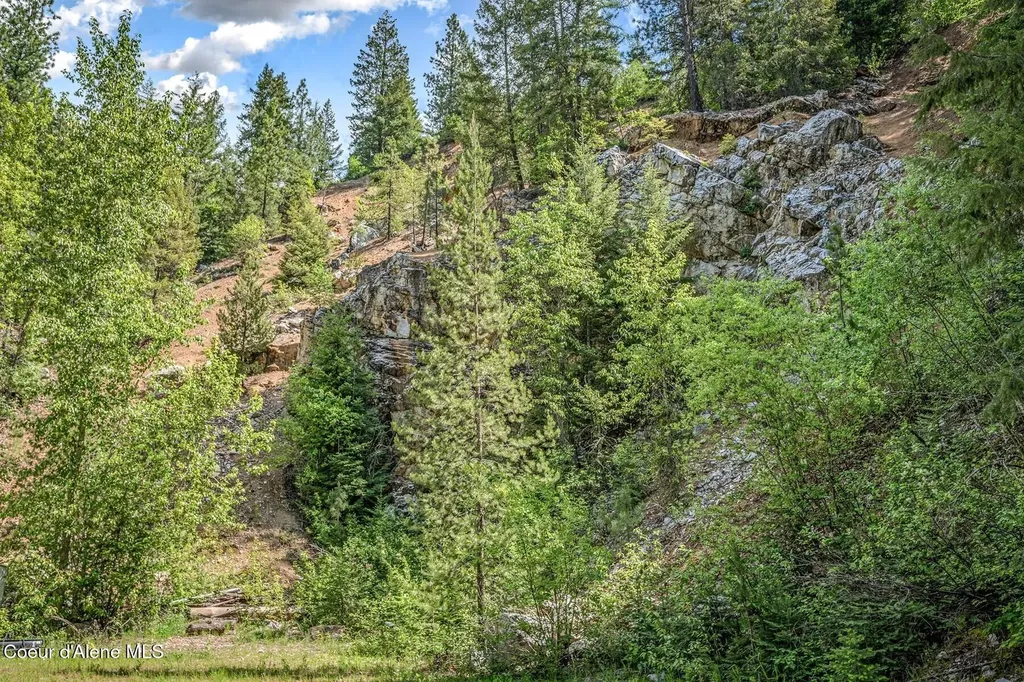 417 Silica Lane Oldtown ID 83822