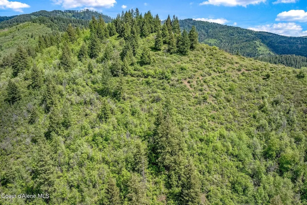 417 Silica Lane Oldtown ID 83822