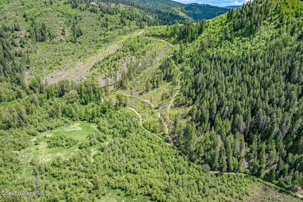 417 Silica Lane Oldtown ID 83822