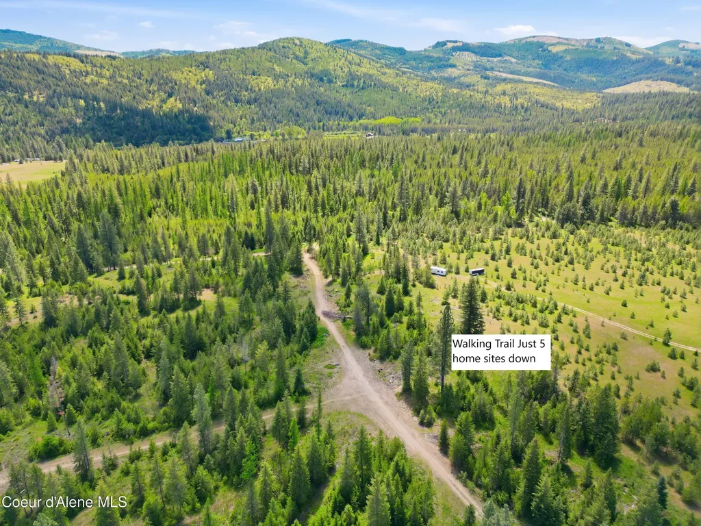 33 Parkland Drive Blanchard ID 83804