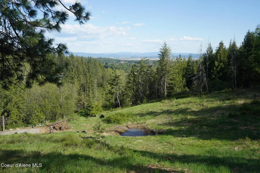 Nna W Biggs Road Lot 1 Rathdrum ID 83858