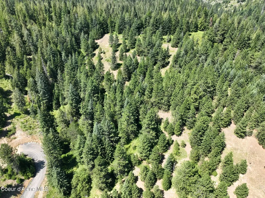 Nna W Biggs Road Lot 1 Rathdrum ID 83858