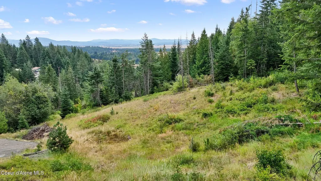 Nna W Biggs Road Lot 1 Rathdrum ID 83858