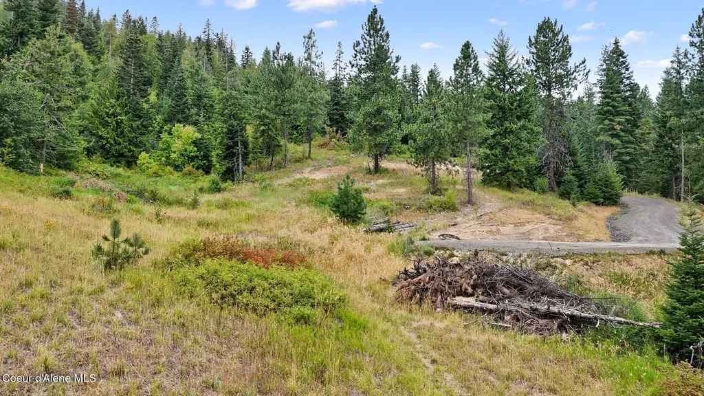 Nna W Biggs Road Lot 1 Rathdrum ID 83858