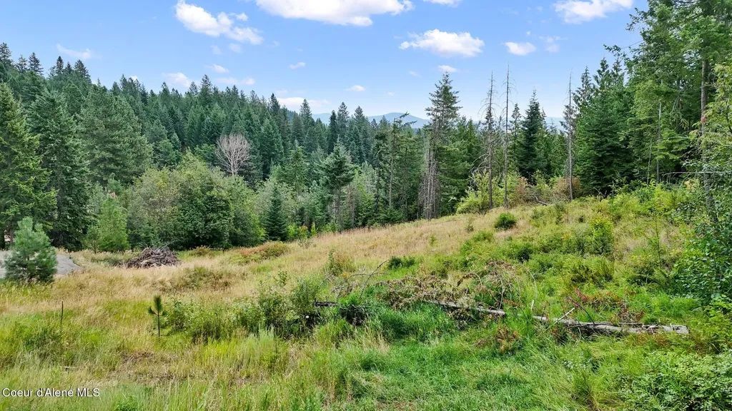 Nna W Biggs Road Lot 1 Rathdrum ID 83858