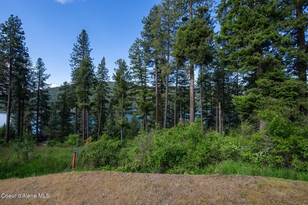 156 Beltane Place Sagle ID 83860