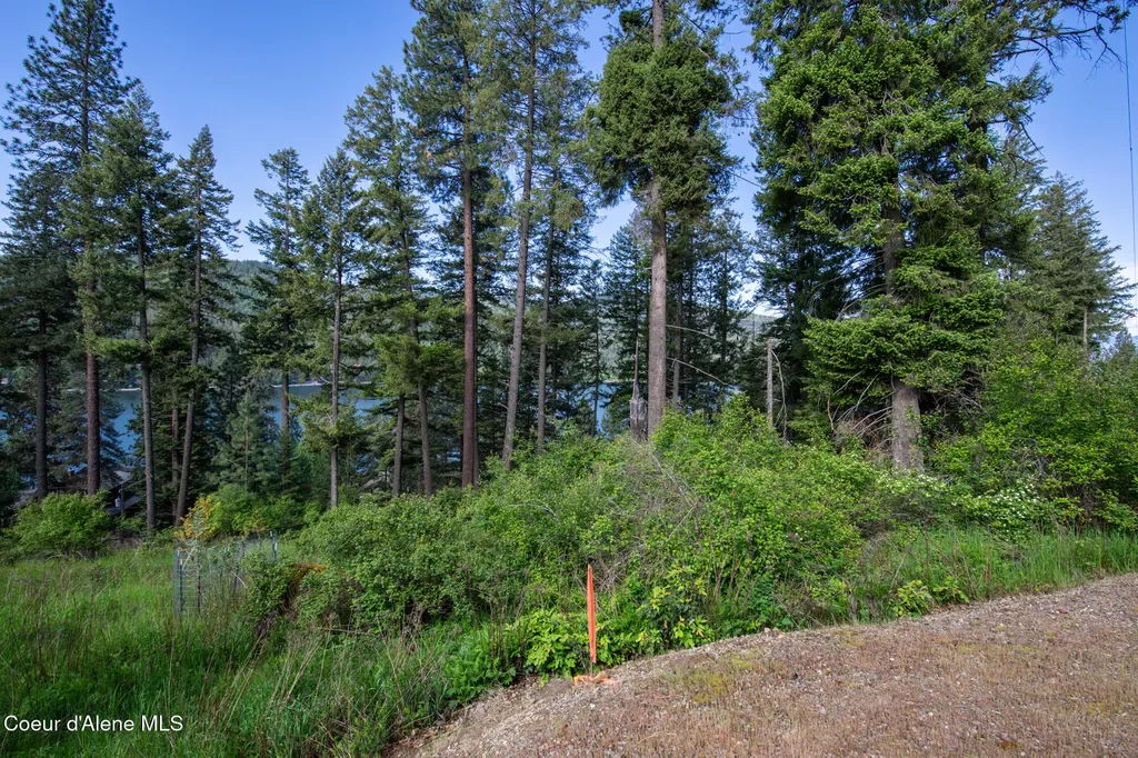 156 Beltane Place Sagle ID 83860