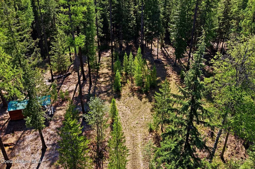 Nna Susie Q Lane Sandpoint ID 83864