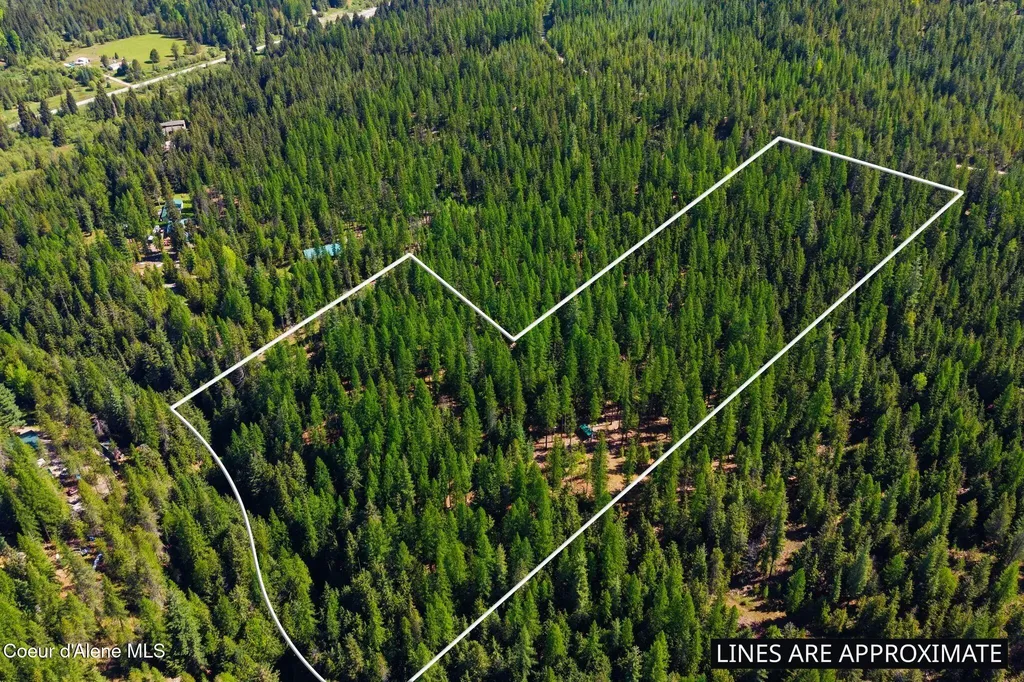 Nna Susie Q Lane Sandpoint ID 83864