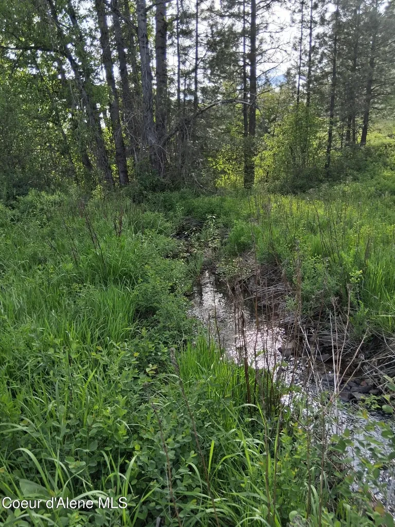 141 Brook Lane Fernwood ID 83830