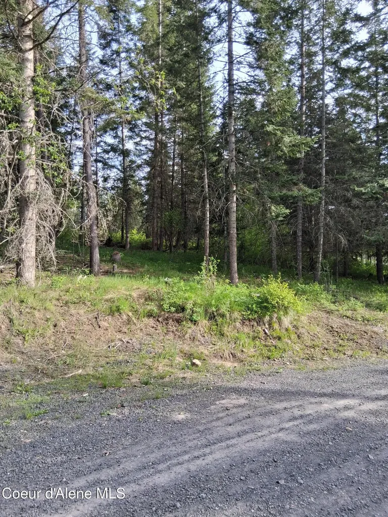 141 Brook Lane Fernwood ID 83830