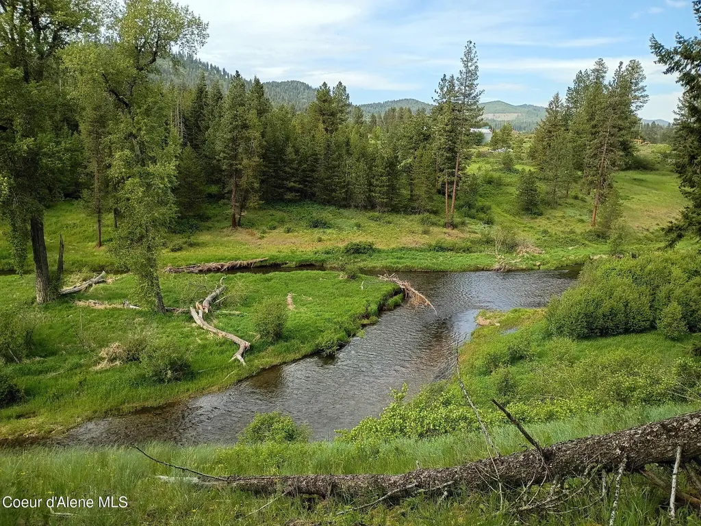 141 Brook Lane Fernwood ID 83830
