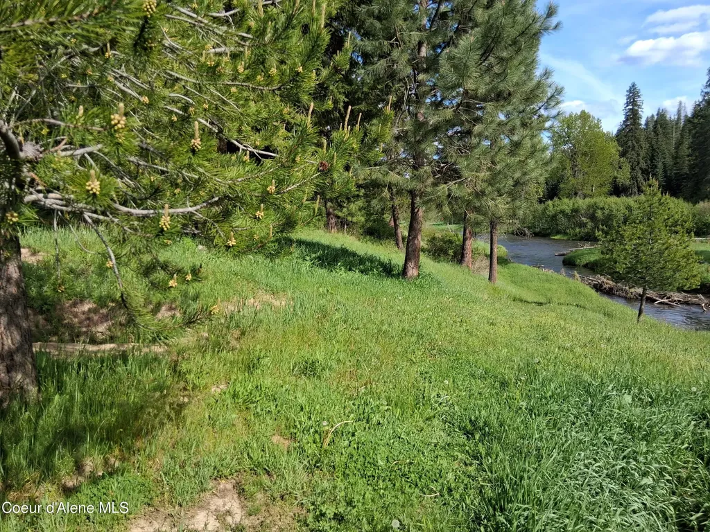 141 Brook Lane Fernwood ID 83830