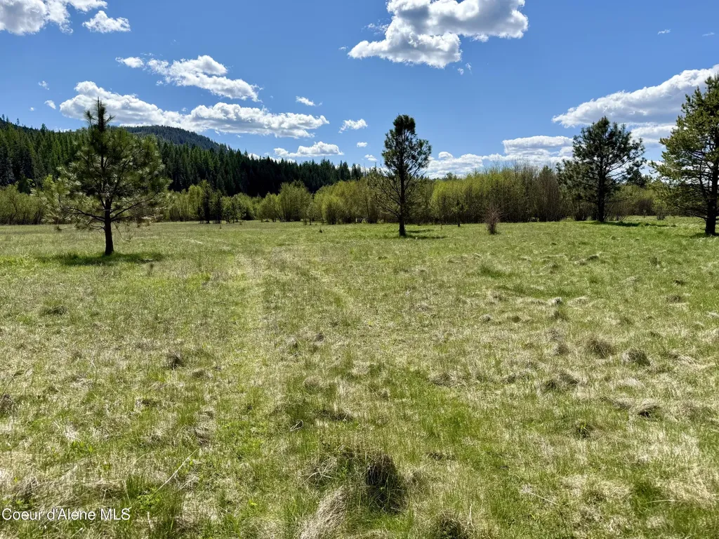 3216 Dufort Road Sagle ID 83860