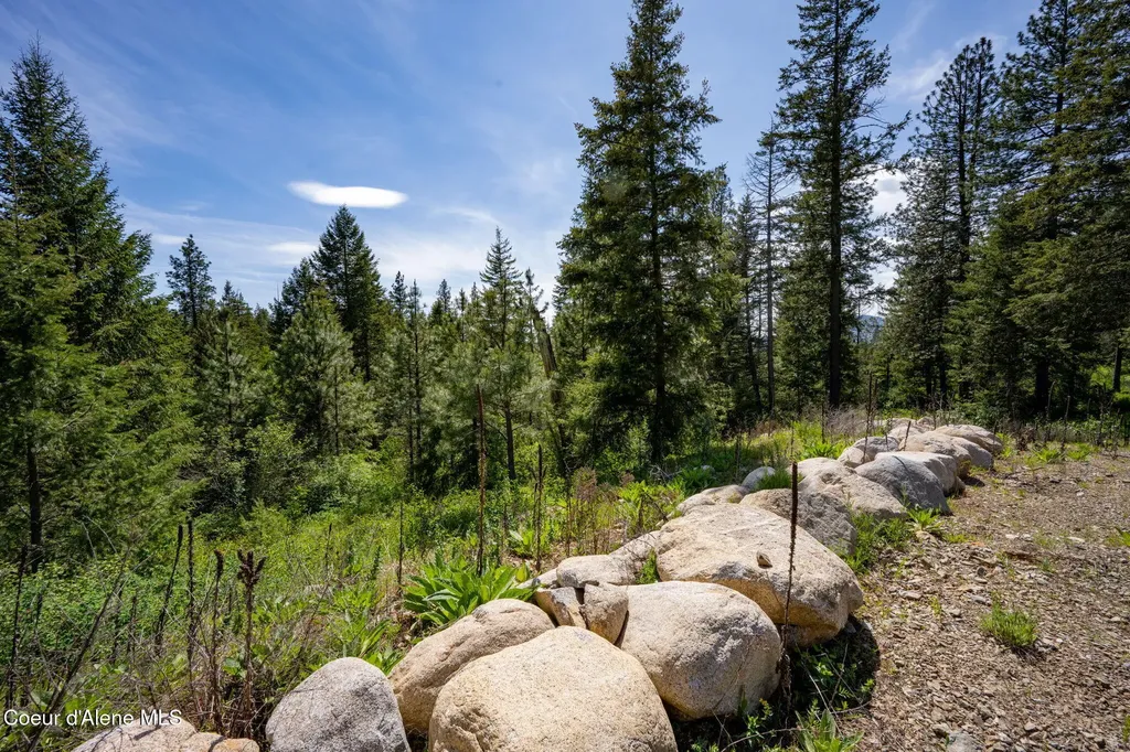 21355 N Cashmere Way Rathdrum ID 83858