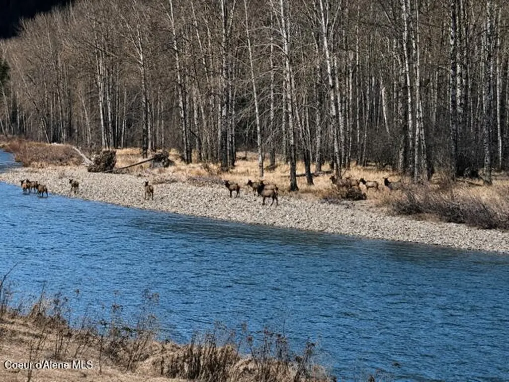 Nka Mountain Ridge Lane Kingston ID 83839