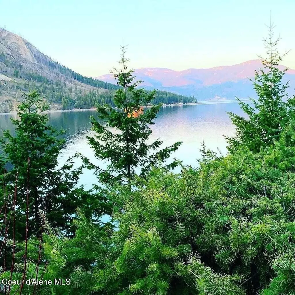 18194 E Mount Eagen Loop Bayview ID 83803