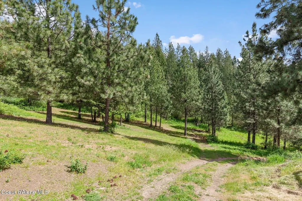 16003 Benewah Creek Road St. Maries ID 83861