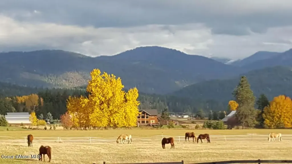 1255 Hickey Road Sandpoint ID 83864