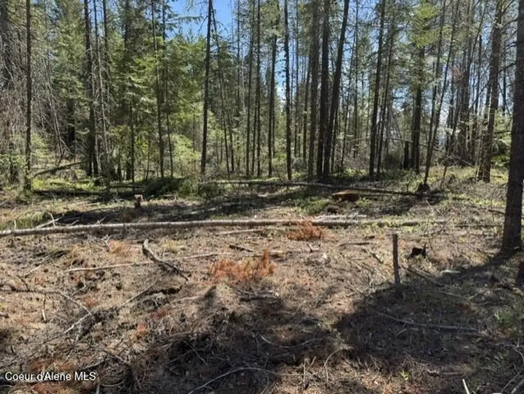 Nka Abundant Life (lot 3) Court Athol ID 83801