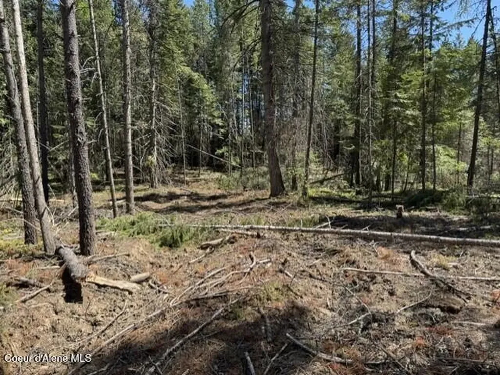 Nka Abundant Life (lot 3) Court Athol ID 83801