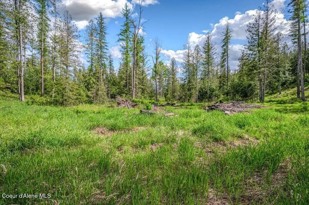 Nna Oleander Dr., Lot 1 Sandpoint ID 83864