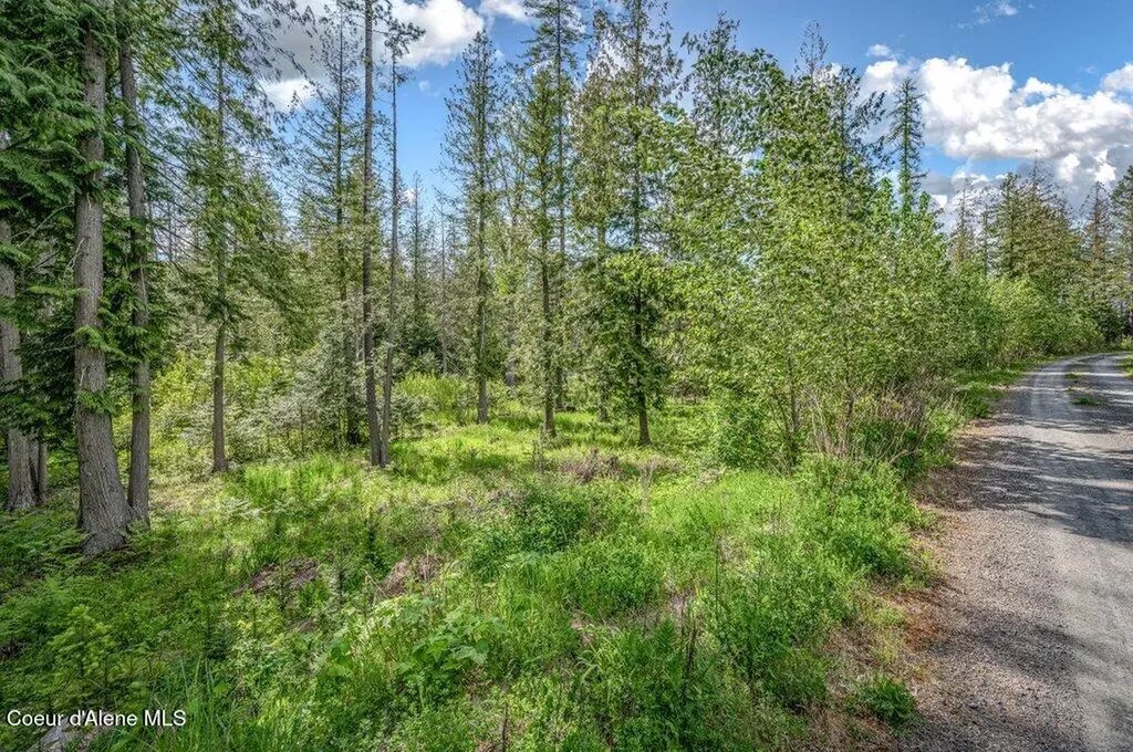Nna Oleander Dr., Lot 1 Sandpoint ID 83864